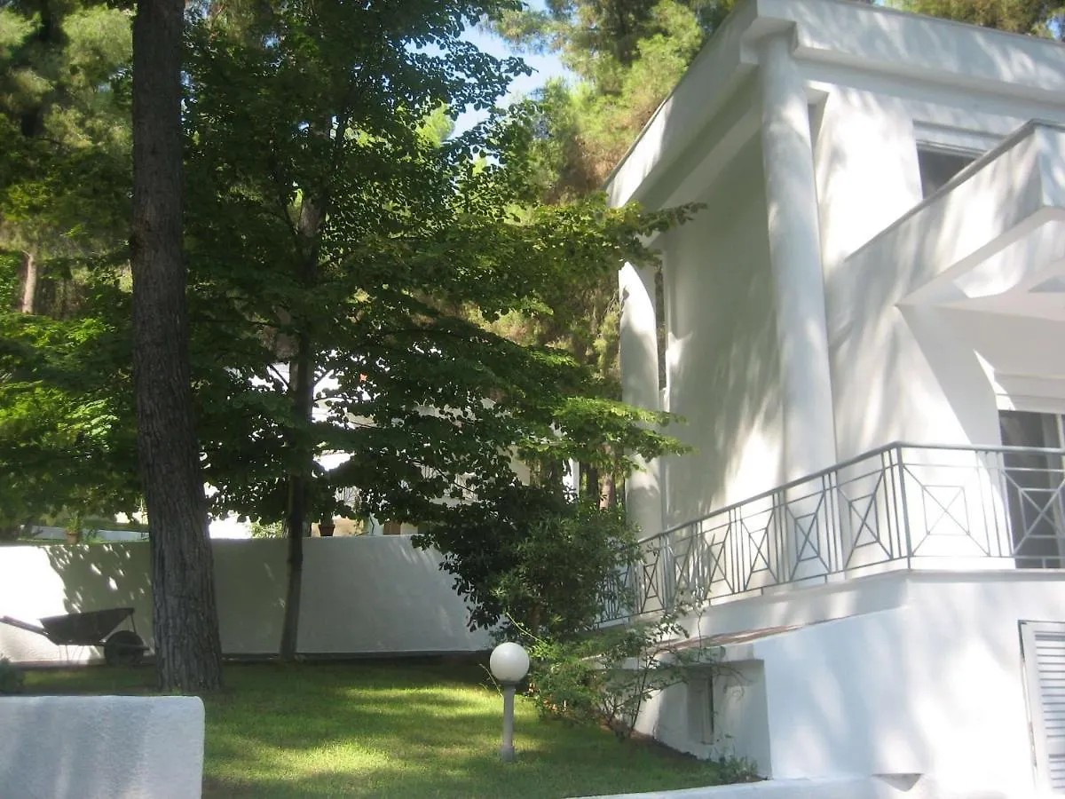 Villa Angie Sani  Sani (Chalkidiki)