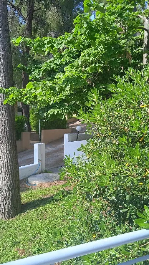 Villa Angie Sani  Sani (Chalkidiki)
