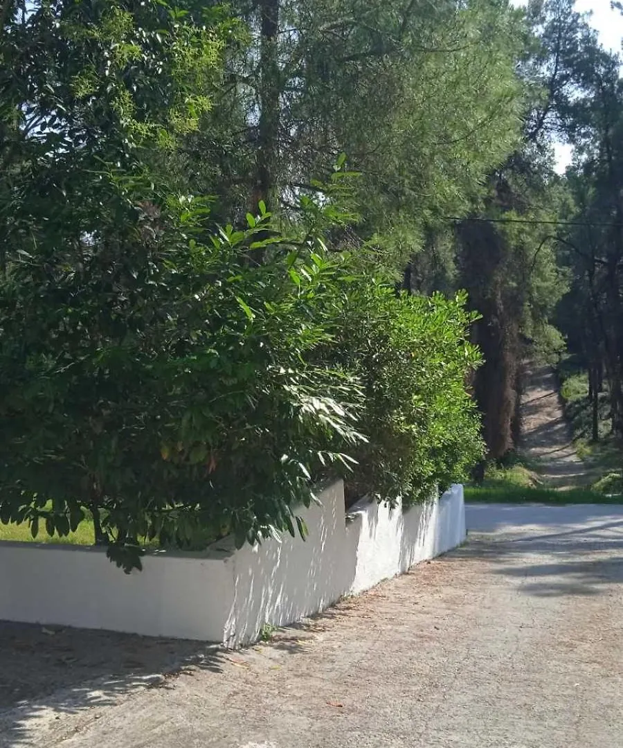 Villa Angie Sani  Grecia