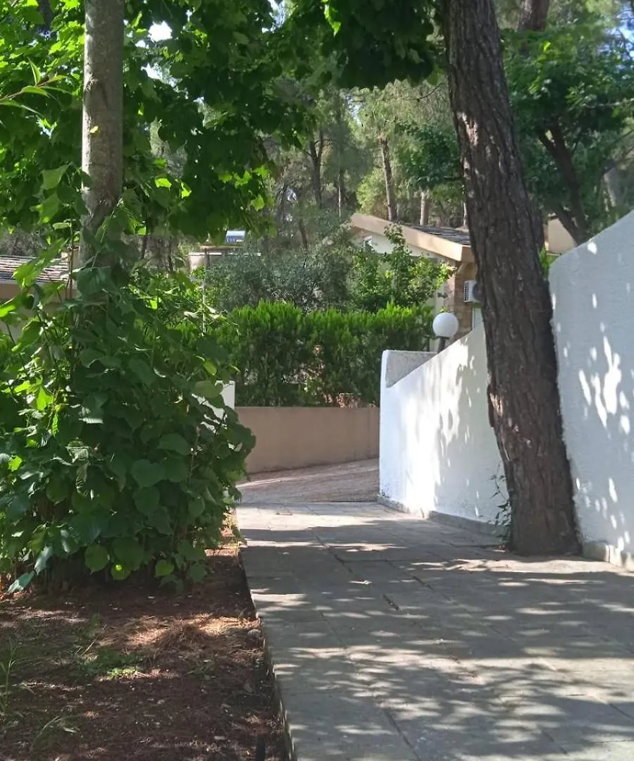 Villa Angie Sani  0*, Sani (Chalkidiki) Grecia