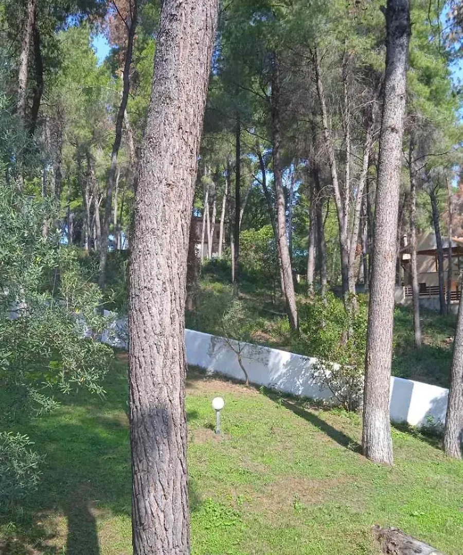 Villa Angie Sani  Sani (Chalkidiki)